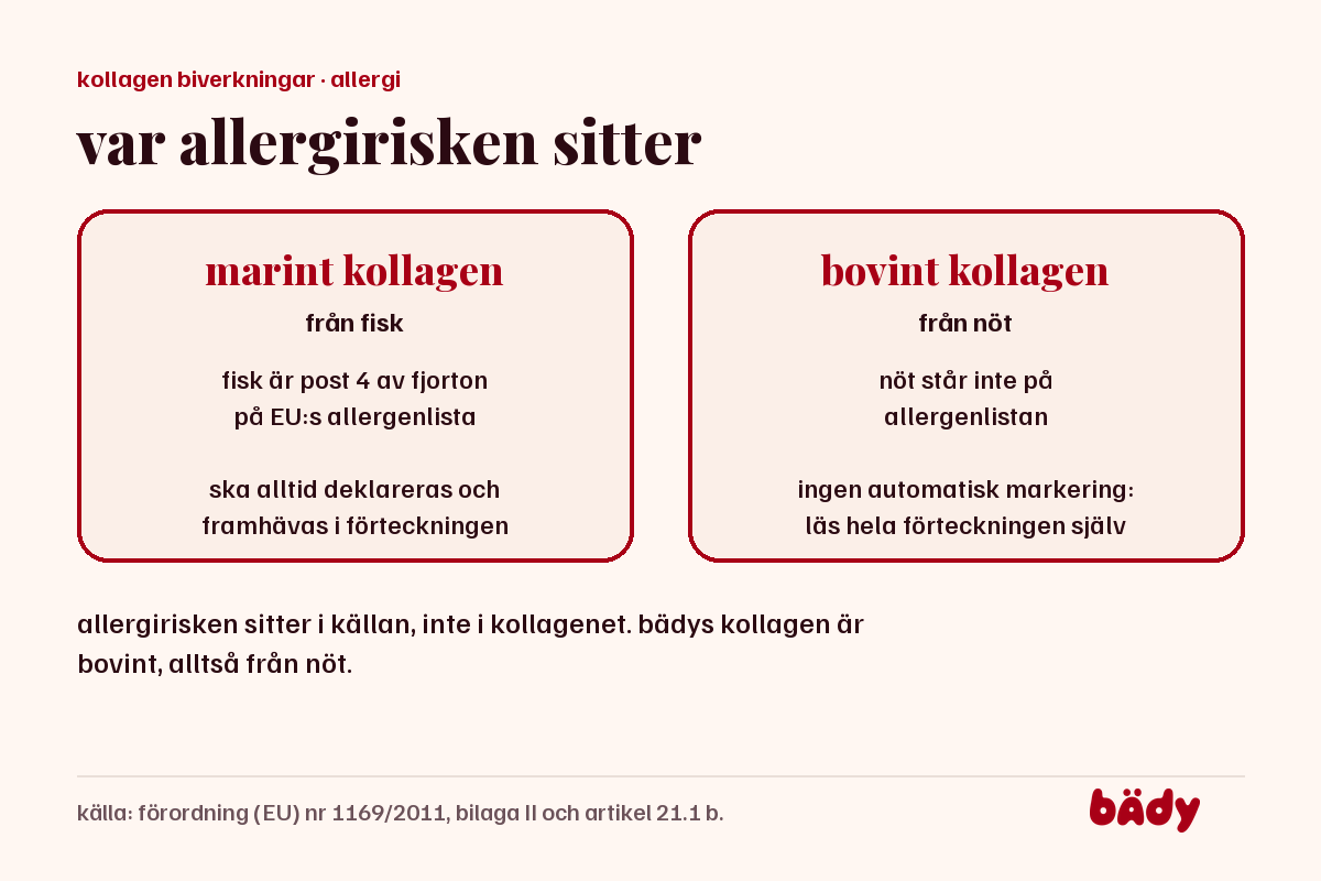 jämförelse av fisk och nöt som allergen: fisk måste alltid deklareras i EU, nöt står inte på allergenlistan