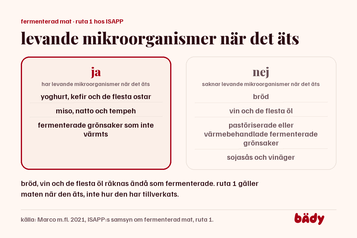 två kolumner, ja och nej: vilken fermenterad mat som har levande mikroorganismer när den äts och vilken som inte har det