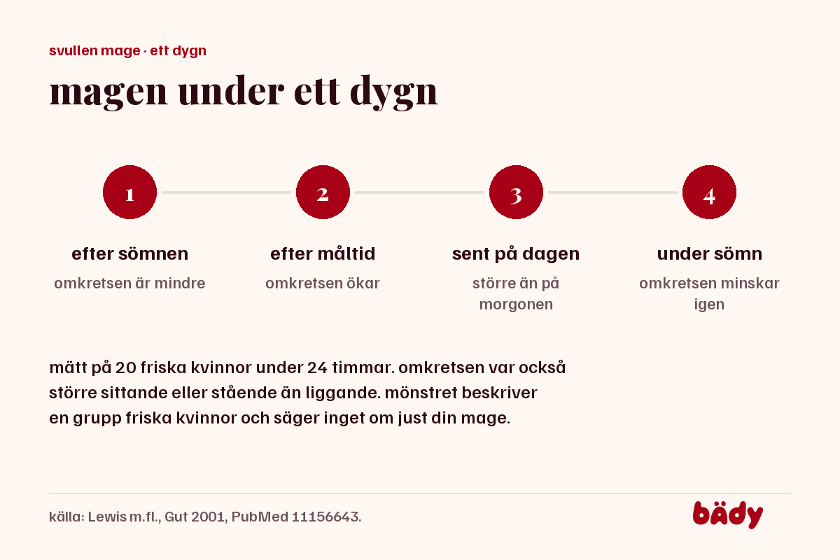 fyra steg under ett dygn: omkretsen är mindre efter sömnen, ökar efter måltid, är större sent på dagen och minskar under sömn
