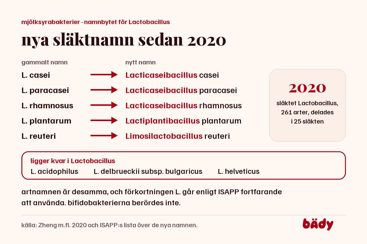 namnbytet 2020: L. casei, paracasei, rhamnosus, plantarum och reuteri fick nya släkten, tre arter ligger kvar i Lactobacillus